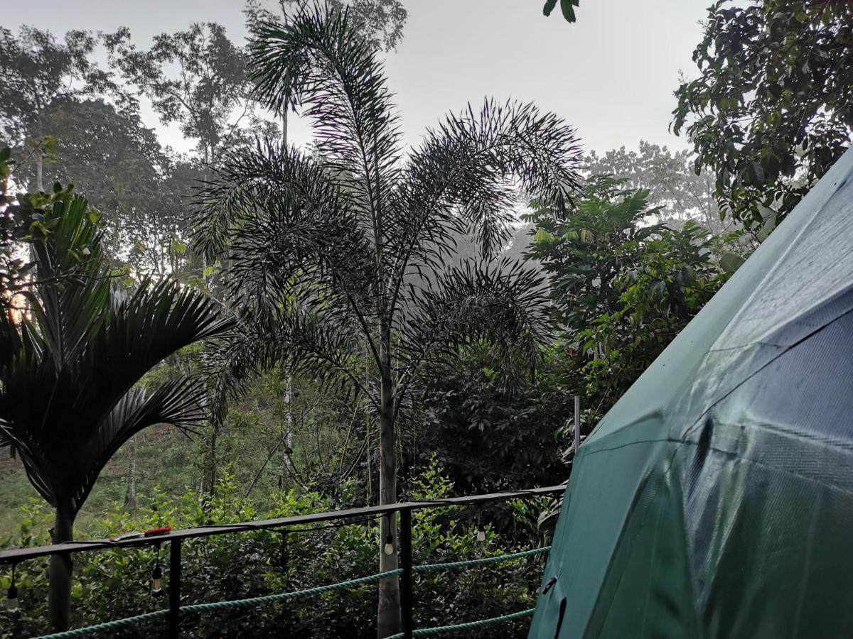Готель Momotus Glamping Florencia Екстер'єр фото