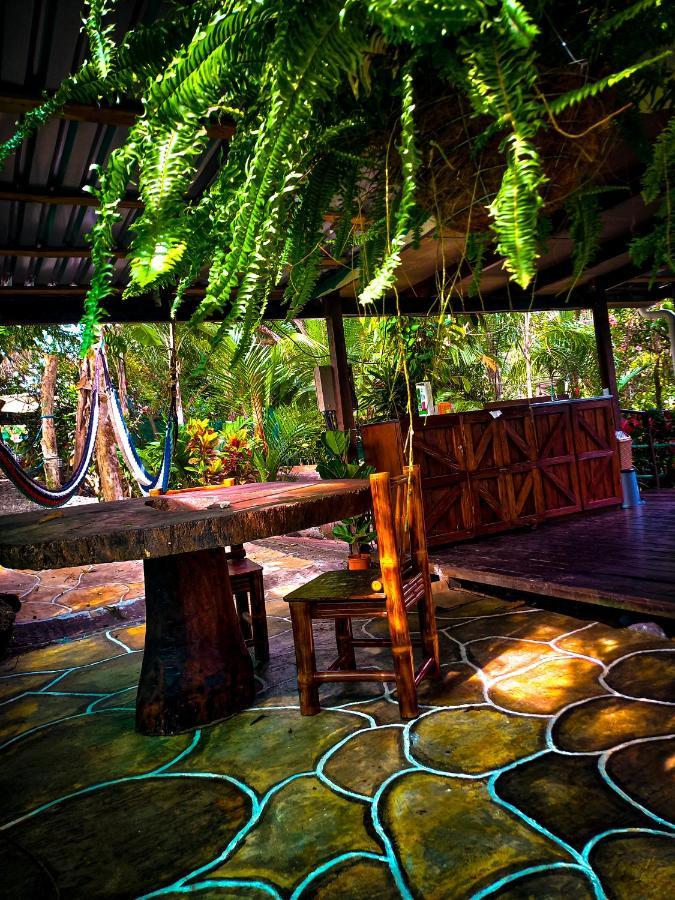 Готель Momotus Glamping Florencia Екстер'єр фото