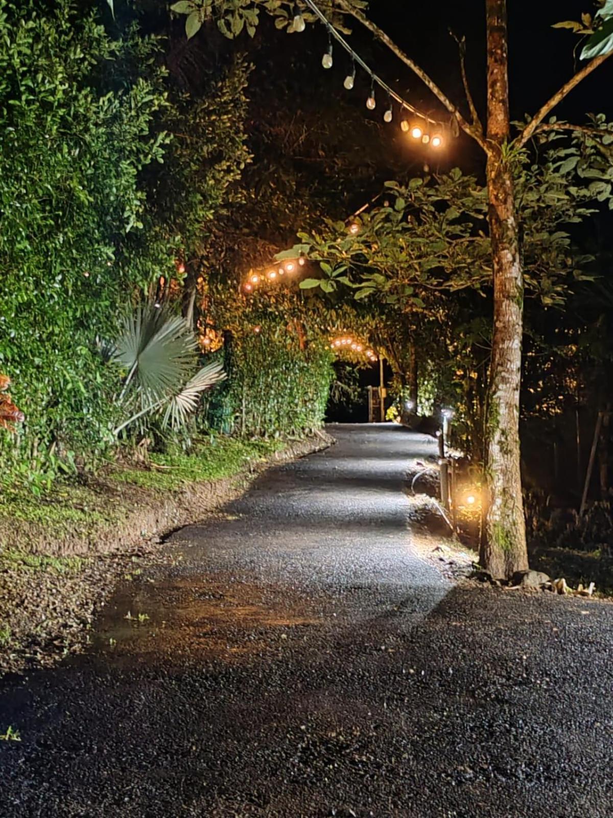 Готель Momotus Glamping Florencia Екстер'єр фото